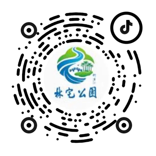 抖音号