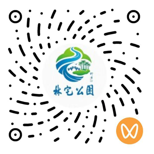 微信视频号